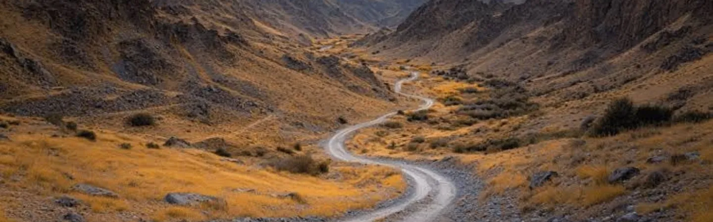 Northern Xinjiang Tours