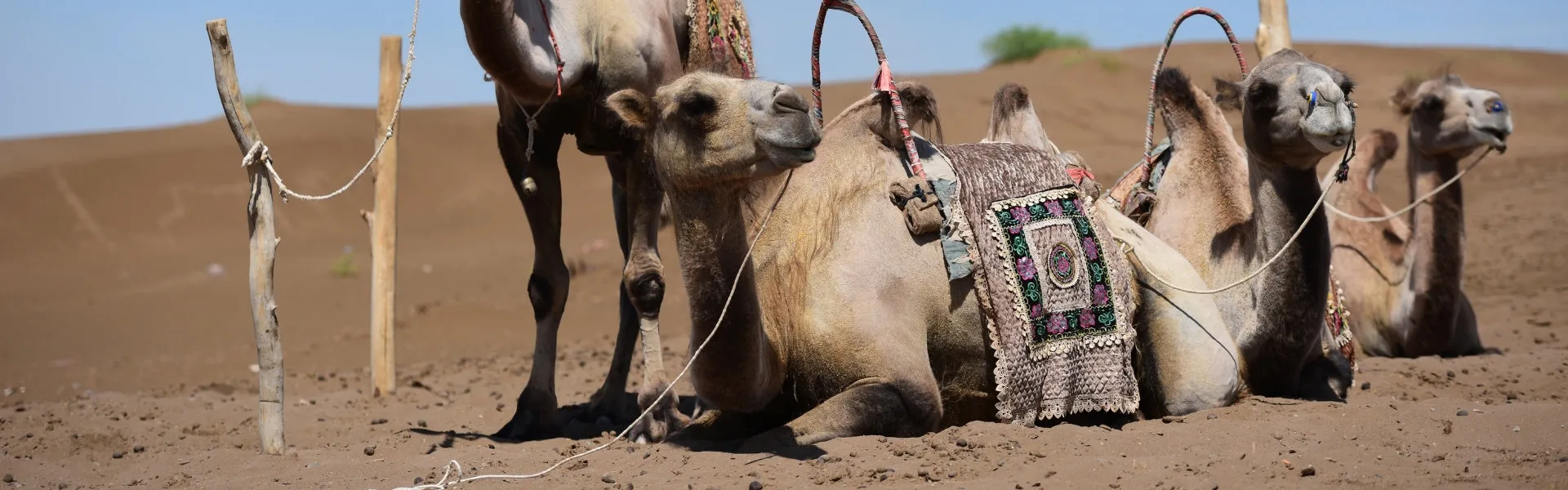 Southern Xinjiang Tours