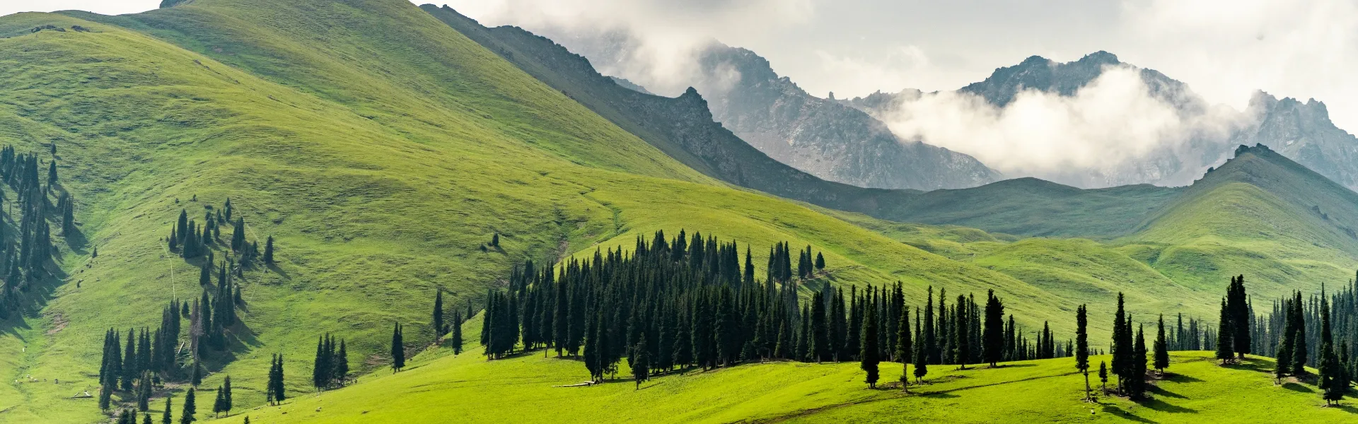Northern Xinjiang Tours