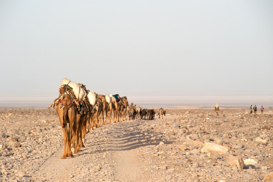 Silk Road panoramic view from Xi'an to Kashgar with camel caravan and desert landscapes Silk Road panoramic view from Xi'an to Kashgar with camel caravan and desert landscapes
