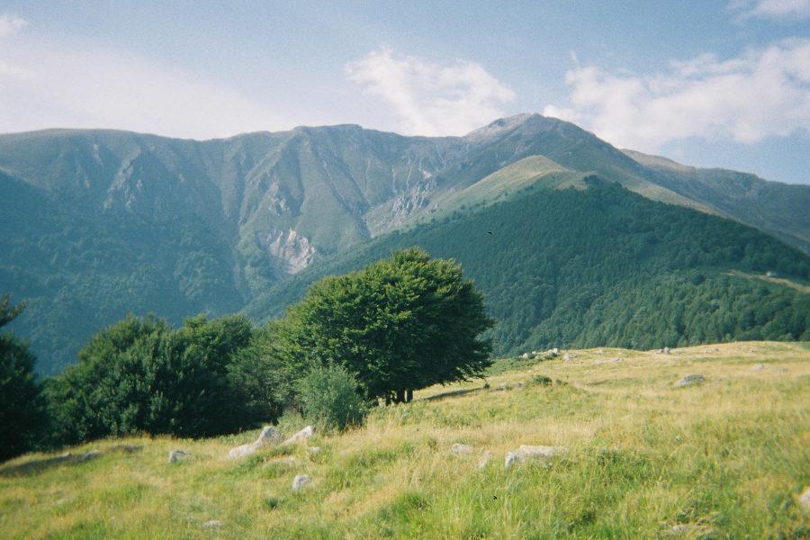 Plan your visit to Fushoushan Farm with seasonal travel tips, routes, transport advice, cherry blossom timing, and mountain stay recommendations. Plan your visit to Fushoushan Farm with seasonal travel tips, routes, transport advice, cherry blossom timing, and mountain stay recommendations.