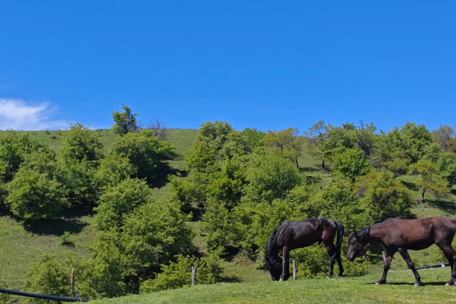 Fushoushan Farm Travel Guide in Taiwan Fushoushan Farm Travel Guide in Taiwan